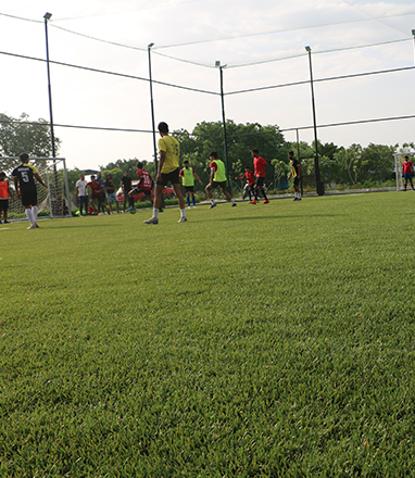 Players Den Rackonnect Sports Turf - Image 1