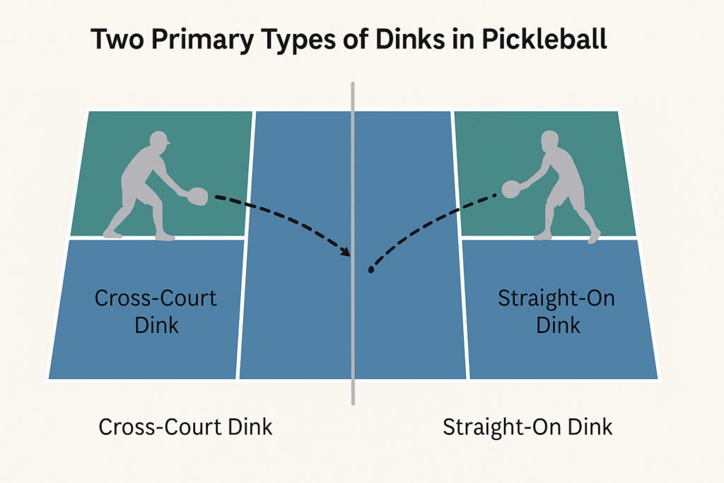 Two Primary Types of Dinks in Pickleball