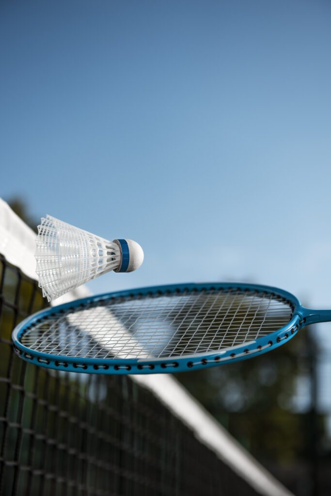 Badminton Terms for Beginners – Drive Shot Example